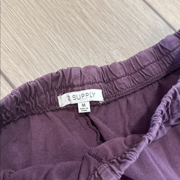 Z Supply Scout Wide Leg Pants in Plum - Picture 3 of 9